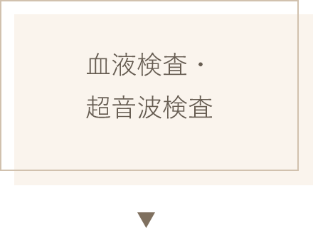 血液検査・超音波検査