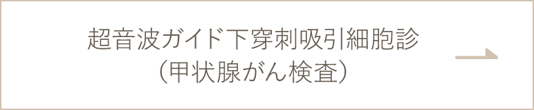 超音波ガイド下穿刺吸引細胞診（甲状腺がん検査）